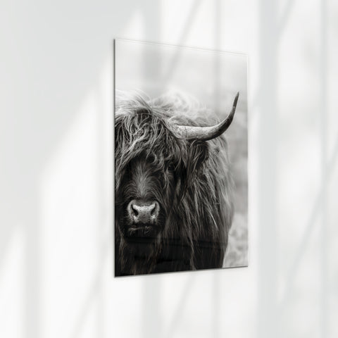 Scottish Highlander Frame